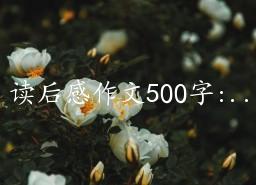 500:μǡи