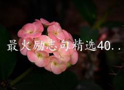 最火励志句精选40句