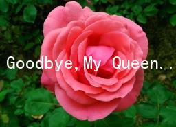 Goodbye,My Queen ټҵŮ