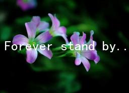 Forever stand by you Զ