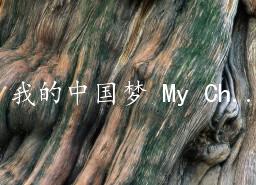 ҵй My Chinese Dream