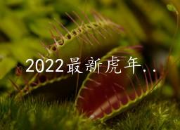 2022»괺ڵĴ50