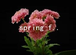 spring festivalӢ10ƪ