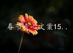 春节走心文案150句