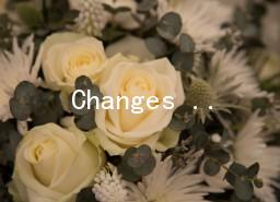 Changes in My HometownӢĴ13ƪ