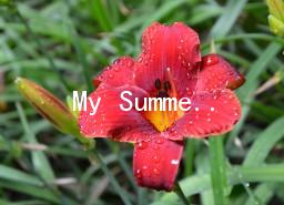 My Summer HolidayӢ5ƪ