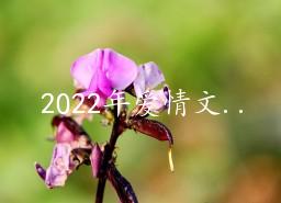 2022年爱情文艺句子75句