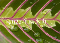 2022־89