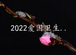 2022»ܽ13ƪ