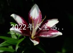 202270