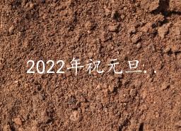 2022年祝元旦快乐的微信祝福语46句