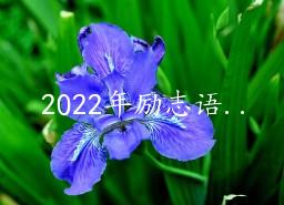 2022־¼30