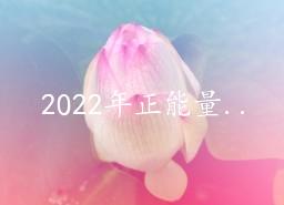 202269