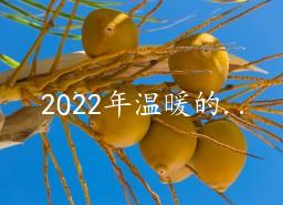 2022ů簲Ȧ21