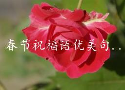 春节祝福语优美句子