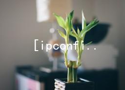 [ipconfig]ʹü_ipconfig