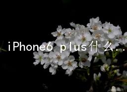 iPhone6 plusʲô˼