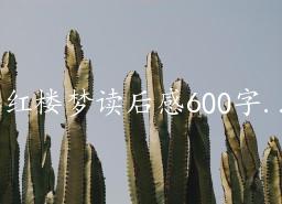 ¥ζ600